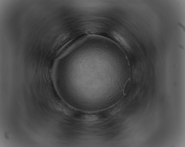 X0000093160169200709261516