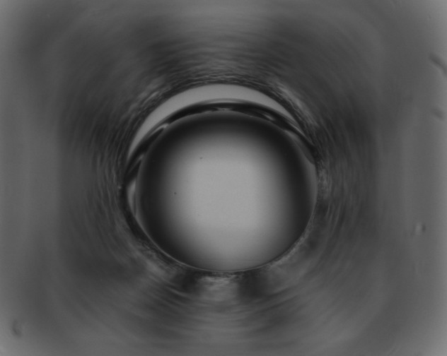X0000093160170200709261516