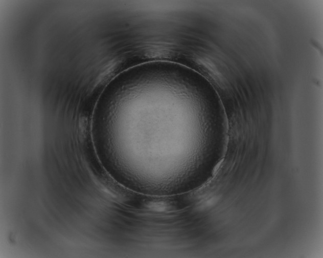 X0000093160171200709261516