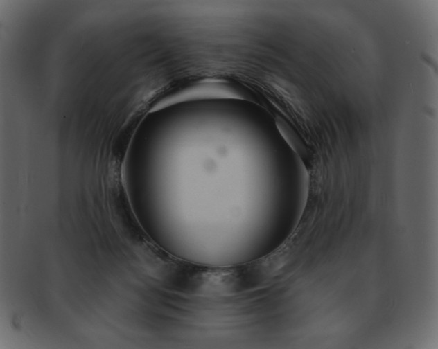 X0000093160172200709261516
