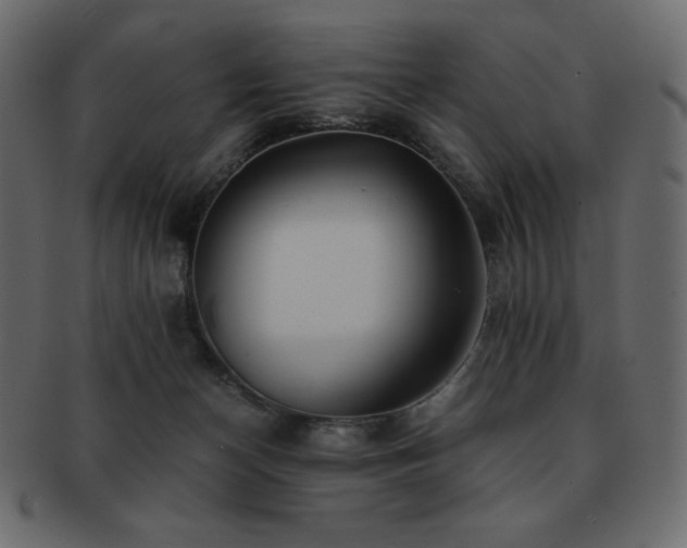 X0000093160174200709261516