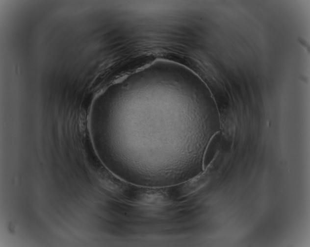 X0000093160175200709261516