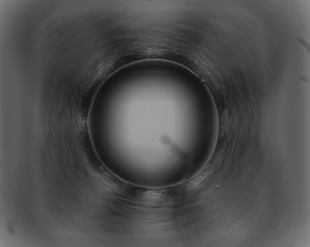 X0000093160176200709261516