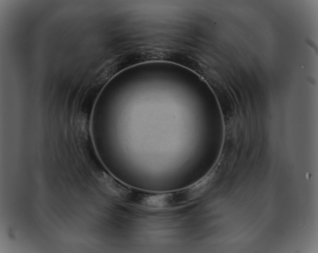 X0000093160178200709261516