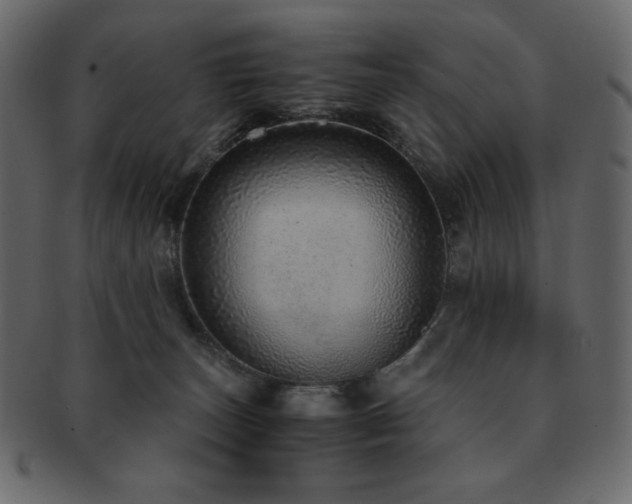 X0000093160179200709261516