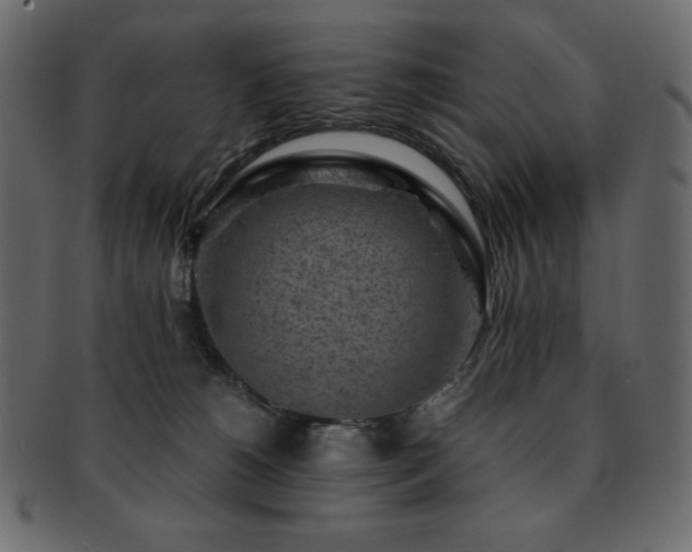 X0000093160180200709261516