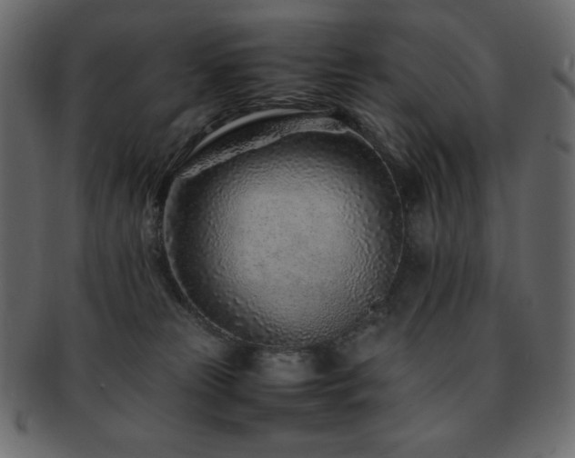 X0000093160181200709261516