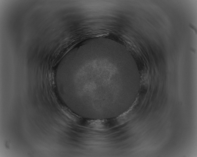 X0000093160182200709261516