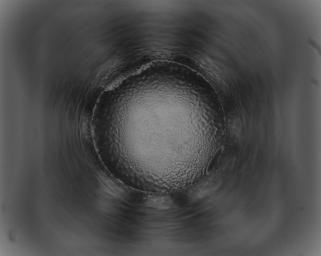 X0000093160185200709261516