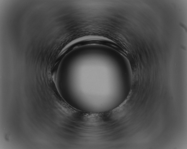 X0000093160186200709261516