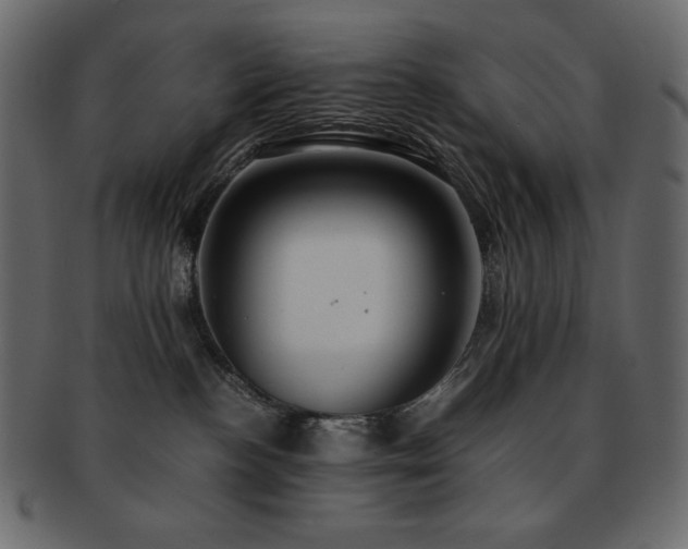 X0000093160188200709261516