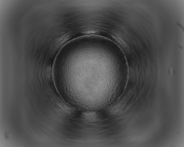 X0000093160189200709261516