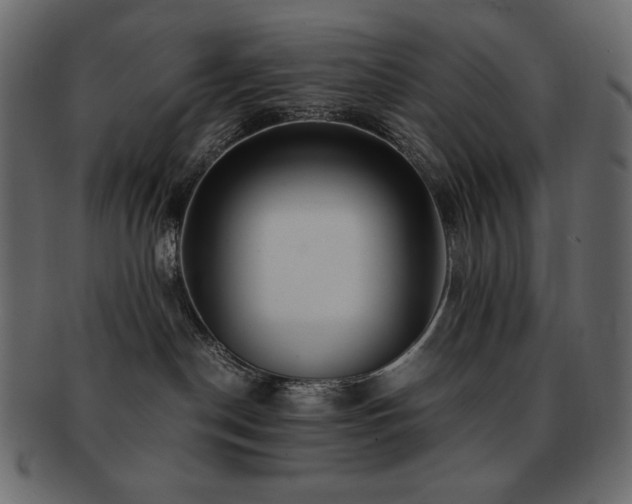 X0000093160190200709261516
