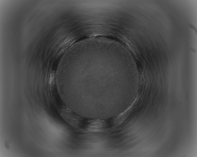 X0000093160191200709261516