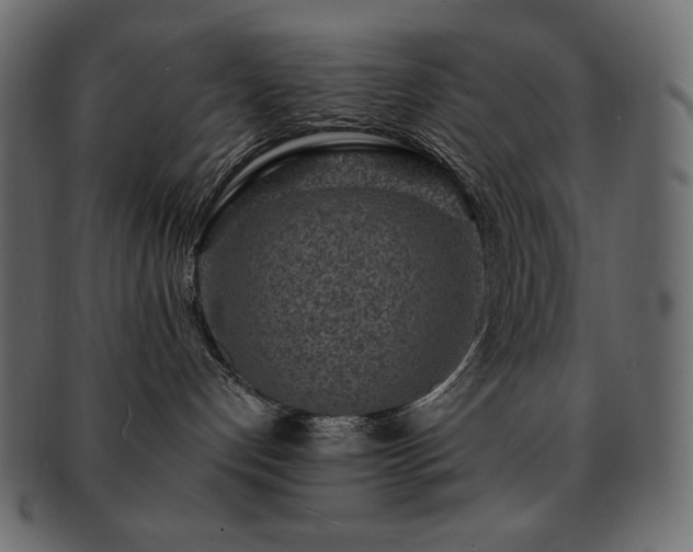 X0000093160192200709261516
