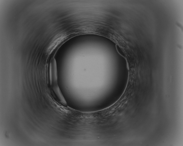 X0000093160194200709261516