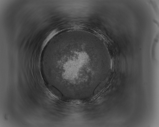 X0000093160195200709261516