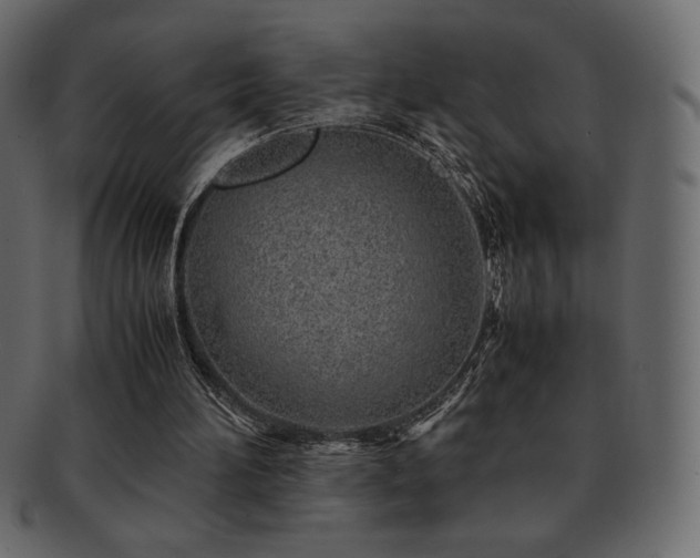 X0000093160196200709261516