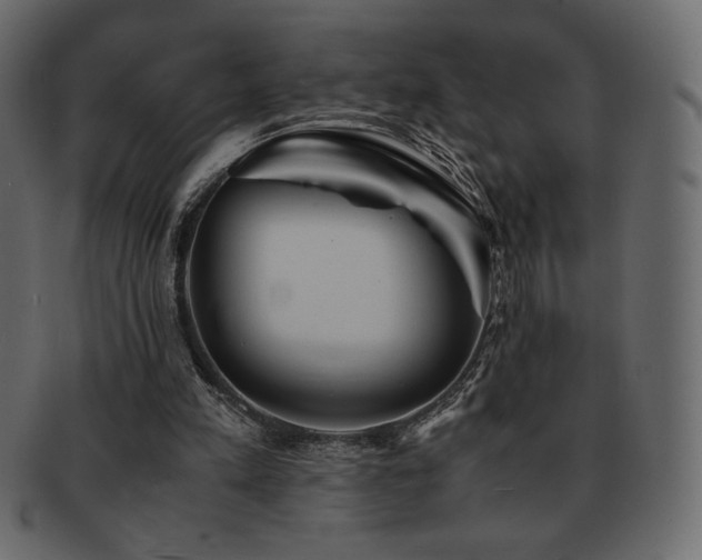 X0000093160197200709261516