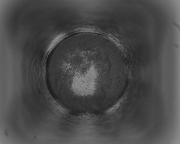 X0000093160199200709261516