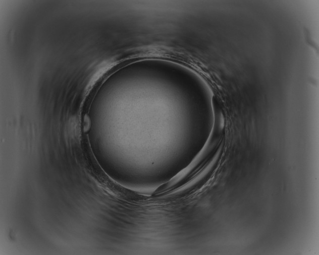 X0000093160200200709261516