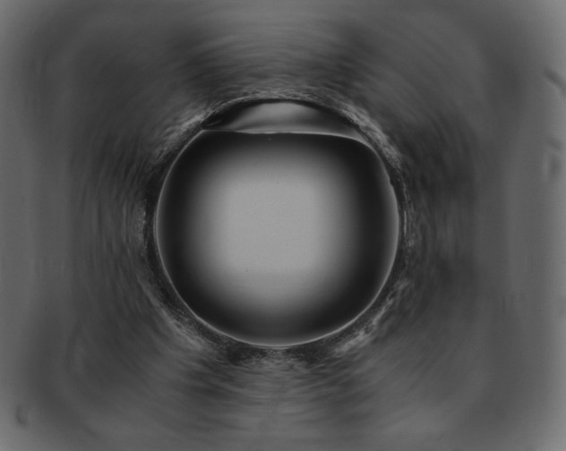 X0000093160201200709261515