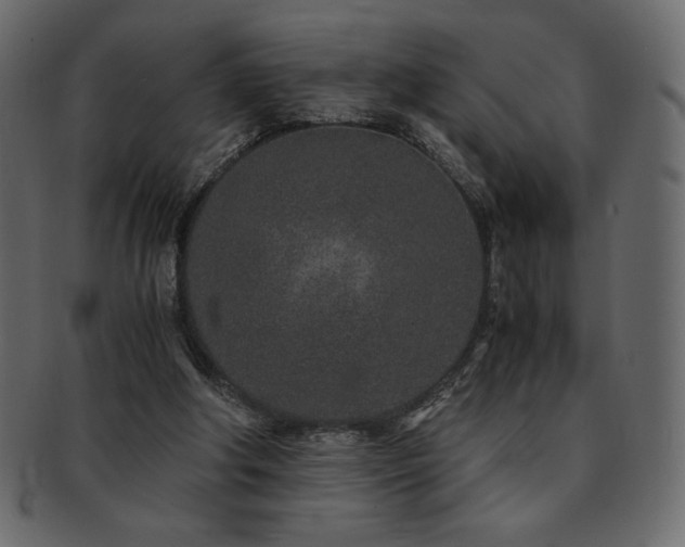 X0000093160202200709261515