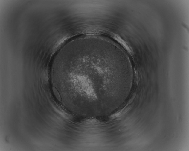 X0000093160203200709261515