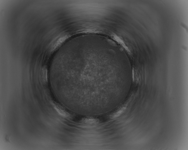 X0000093160205200709261515
