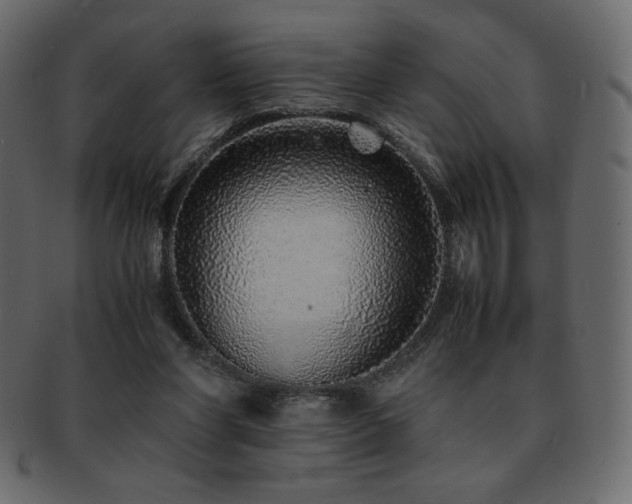 X0000093160206200709261515