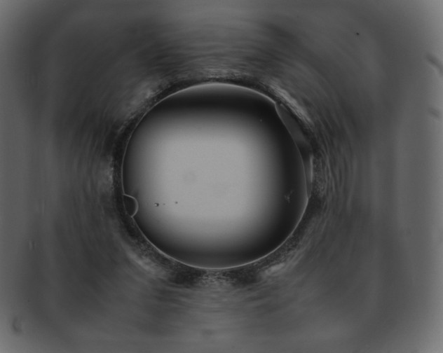 X0000093160207200709261515