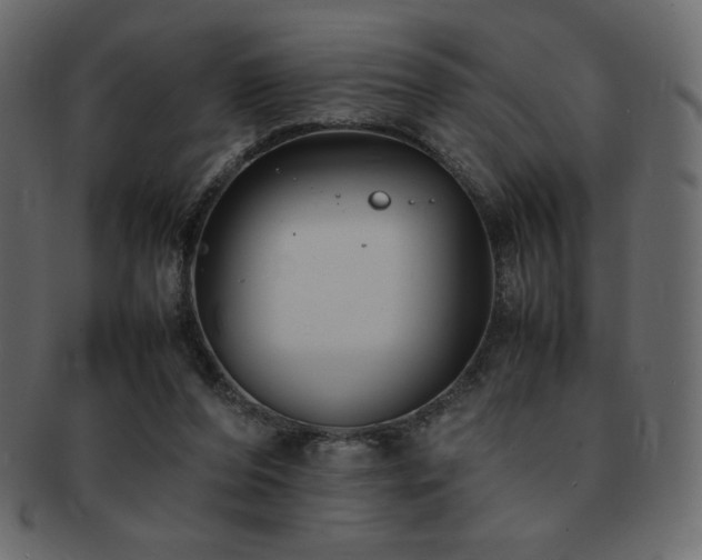 X0000093160208200709261515