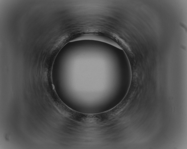 X0000093160209200709261515