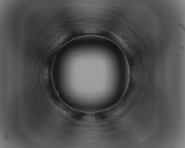 X0000093160211200709261515