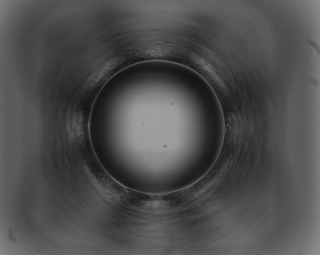 X0000093160212200709261515