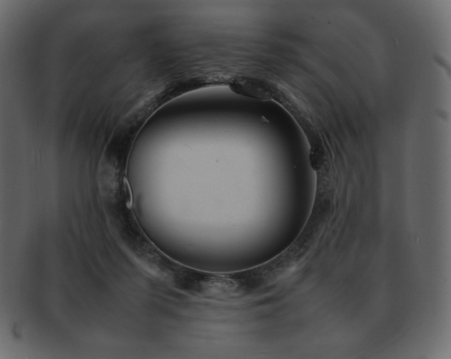 X0000093160215200709261515