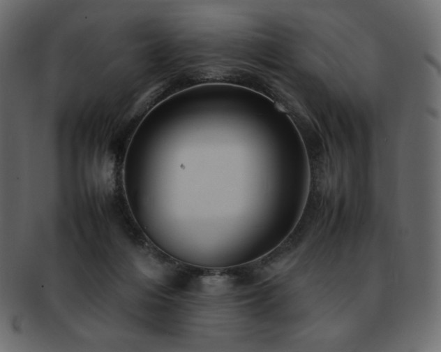 X0000093160216200709261515