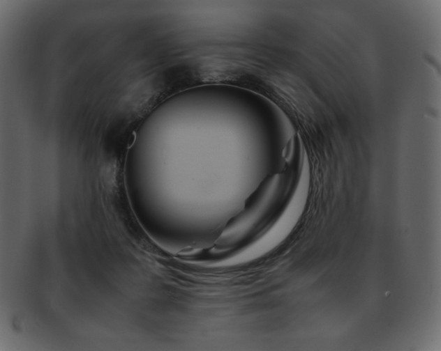 X0000093160219200709261515