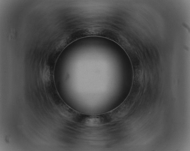 X0000093160220200709261515