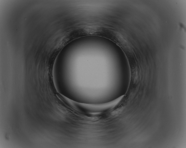 X0000093160221200709261515