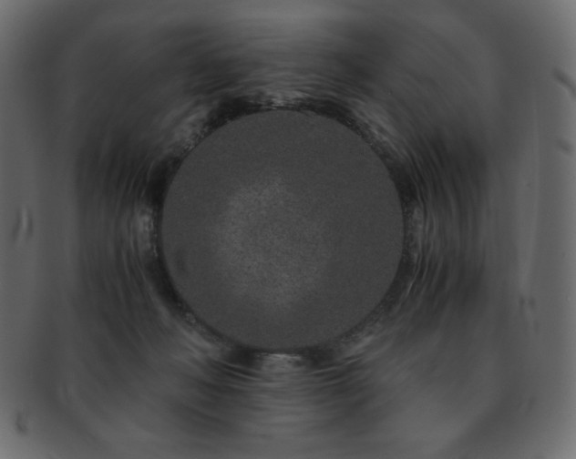 X0000093160222200709261515