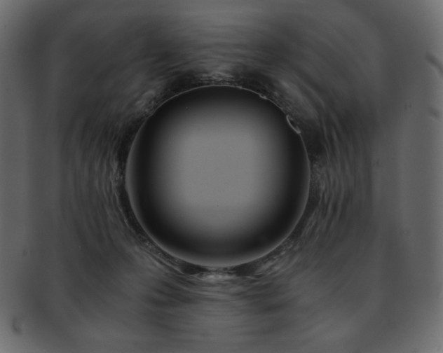 X0000093160223200709261515