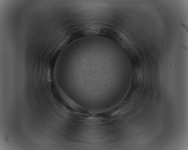 X0000093160224200709261515
