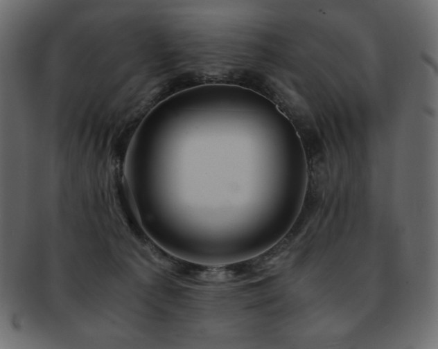 X0000093160225200709261515