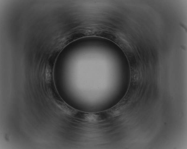 X0000093160226200709261515