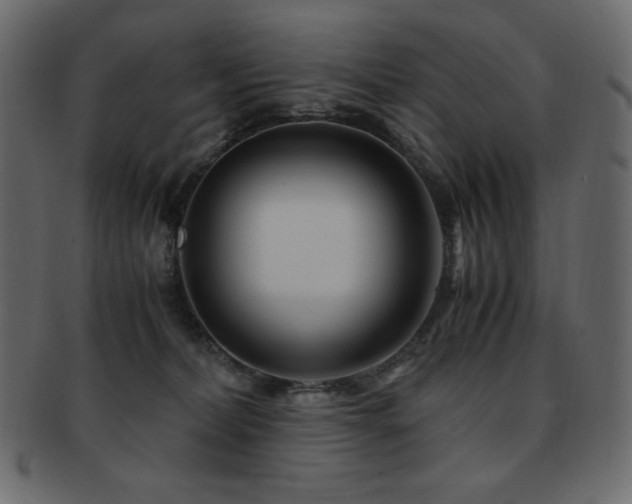 X0000093160228200709261515