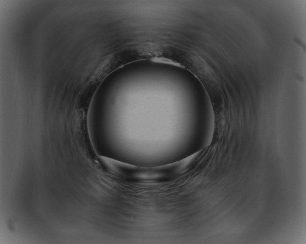 X0000093160229200709261515