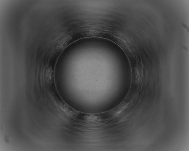 X0000093160230200709261515