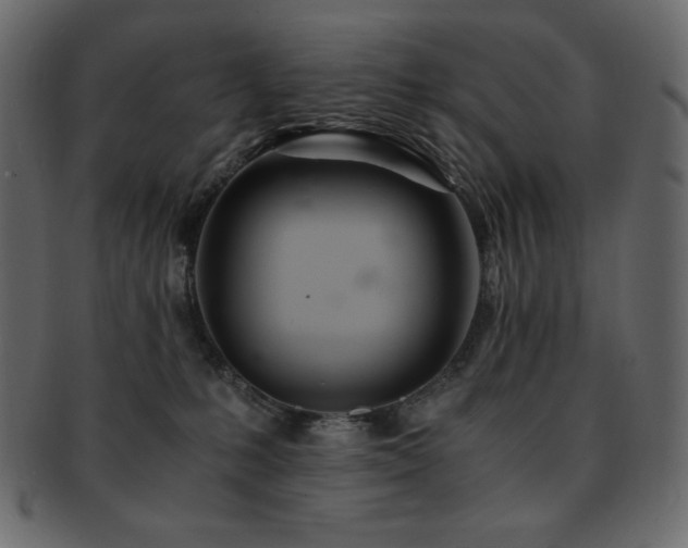 X0000093160231200709261515