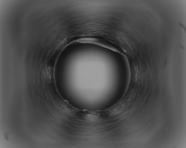 X0000093160232200709261515